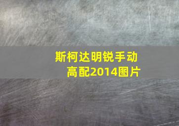 斯柯达明锐手动高配2014图片