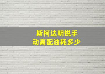 斯柯达明锐手动高配油耗多少