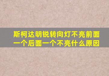 斯柯达明锐转向灯不亮前面一个后面一个不亮什么原因