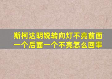 斯柯达明锐转向灯不亮前面一个后面一个不亮怎么回事