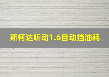 斯柯达昕动1.6自动挡油耗