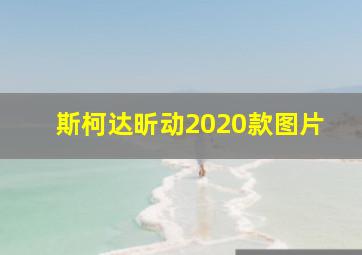 斯柯达昕动2020款图片