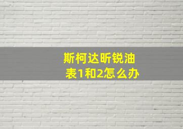 斯柯达昕锐油表1和2怎么办