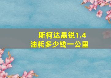 斯柯达晶锐1.4油耗多少钱一公里