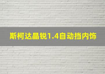 斯柯达晶锐1.4自动挡内饰