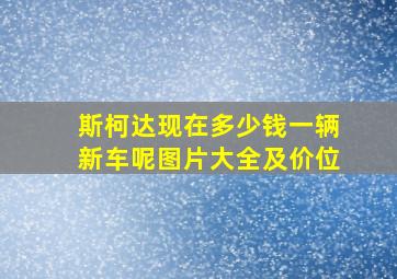 斯柯达现在多少钱一辆新车呢图片大全及价位