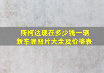 斯柯达现在多少钱一辆新车呢图片大全及价格表