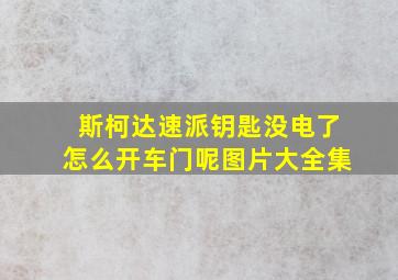 斯柯达速派钥匙没电了怎么开车门呢图片大全集