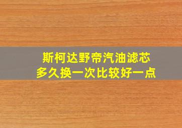 斯柯达野帝汽油滤芯多久换一次比较好一点