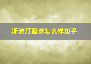 斯波汀篮球怎么样知乎