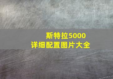 斯特拉5000详细配置图片大全