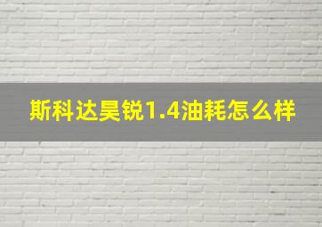 斯科达昊锐1.4油耗怎么样