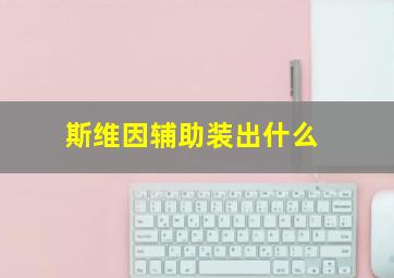 斯维因辅助装出什么