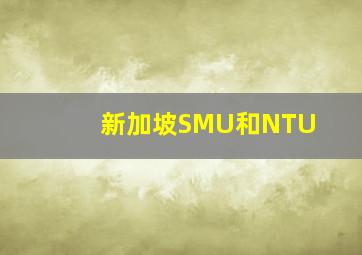 新加坡SMU和NTU