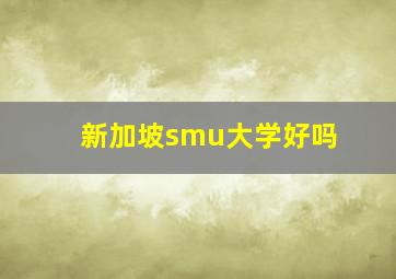 新加坡smu大学好吗