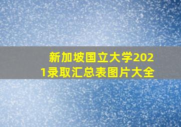 新加坡国立大学2021录取汇总表图片大全