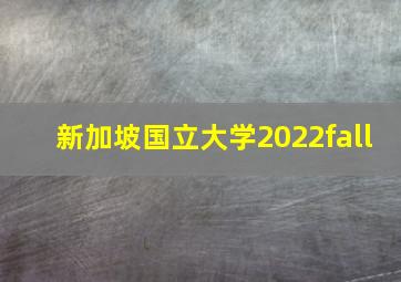 新加坡国立大学2022fall