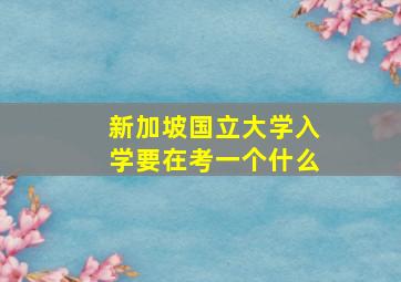 新加坡国立大学入学要在考一个什么