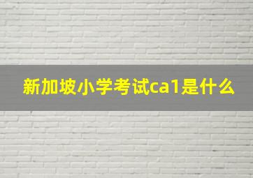 新加坡小学考试ca1是什么