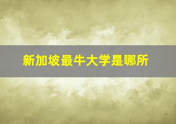 新加坡最牛大学是哪所