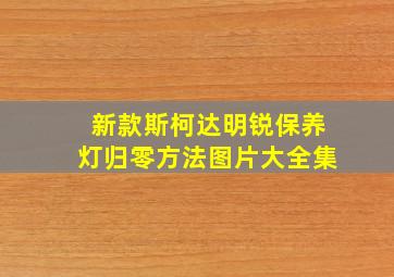 新款斯柯达明锐保养灯归零方法图片大全集