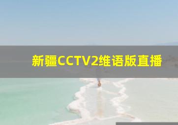 新疆CCTV2维语版直播