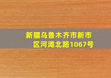 新疆乌鲁木齐市新市区河滩北路1067号