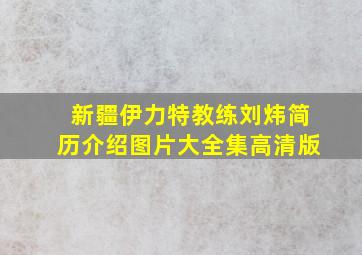 新疆伊力特教练刘炜简历介绍图片大全集高清版