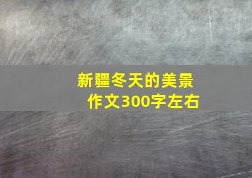 新疆冬天的美景作文300字左右