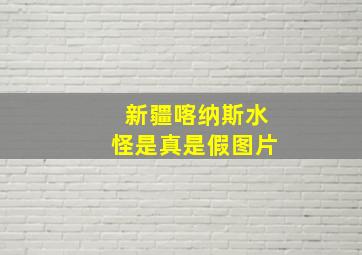 新疆喀纳斯水怪是真是假图片