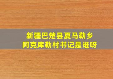 新疆巴楚县夏马勒乡阿克库勒村书记是谁呀