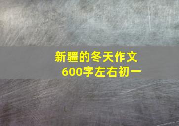 新疆的冬天作文600字左右初一