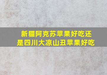 新疆阿克苏苹果好吃还是四川大凉山丑苹果好吃