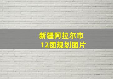 新疆阿拉尔市12团规划图片