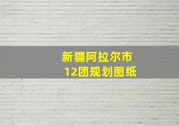 新疆阿拉尔市12团规划图纸