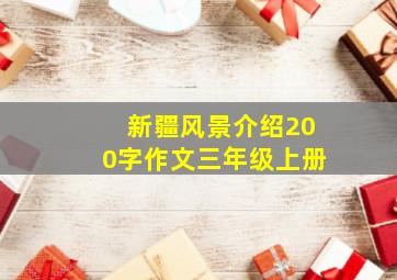 新疆风景介绍200字作文三年级上册