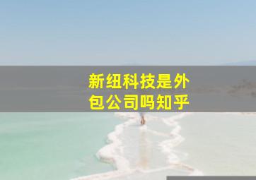 新纽科技是外包公司吗知乎