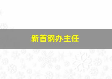 新首钢办主任