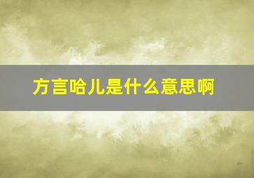 方言哈儿是什么意思啊