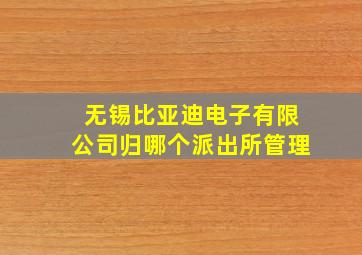 无锡比亚迪电子有限公司归哪个派出所管理