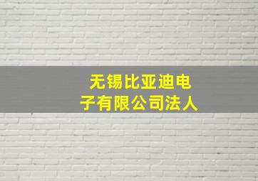 无锡比亚迪电子有限公司法人