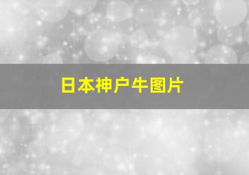 日本神户牛图片