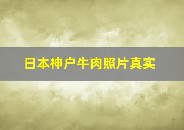 日本神户牛肉照片真实