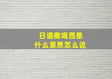 日语撒噶西是什么意思怎么说