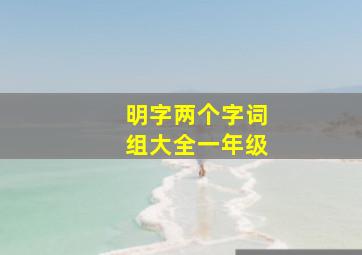 明字两个字词组大全一年级