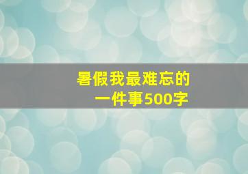 暑假我最难忘的一件事500字