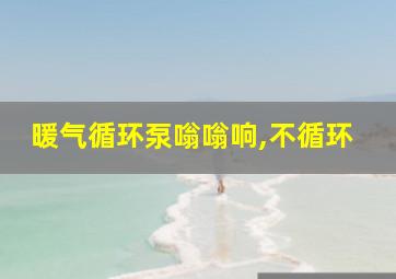 暖气循环泵嗡嗡响,不循环