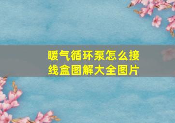 暖气循环泵怎么接线盒图解大全图片