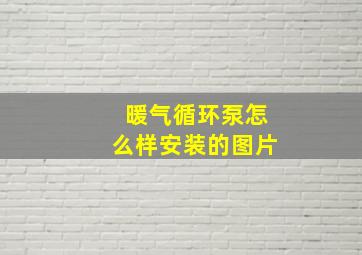 暖气循环泵怎么样安装的图片