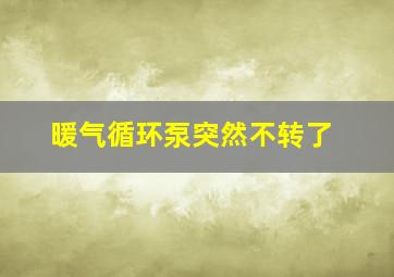 暖气循环泵突然不转了